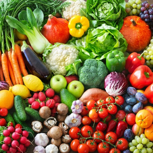 Magnit Retail Chain Shifts to Direct Purchases of Fresh Agricultural Products from Uzbekistan